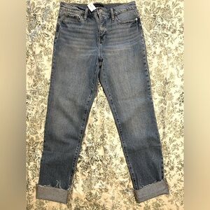 Banana Republic Slouch Jean